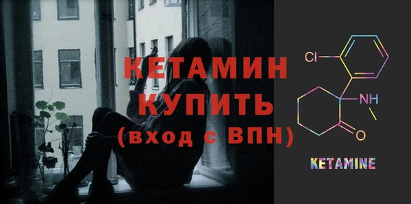 гидра Новозыбков