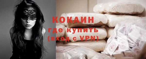 гидра Новозыбков