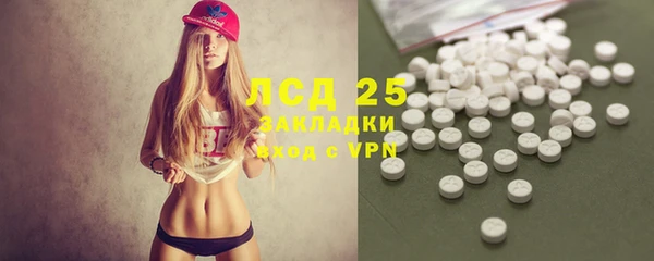 spice Новодвинск