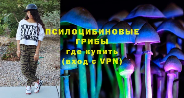 spice Новодвинск