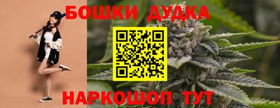 молекула духа Дубна