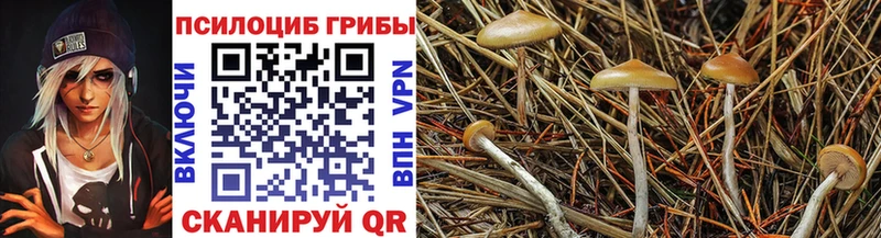 Галлюциногенные грибы Cubensis Похвистнево