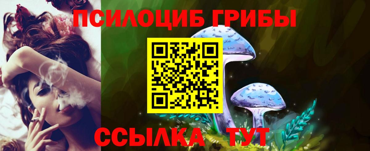 Похвистнево  Галлюциногенные грибы прущие грибы  Вход с VPN 